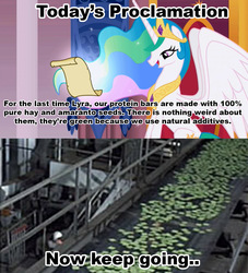 Size: 1021x1124 | Tagged: safe, princess celestia, g4, celestia's proclamation, exploitable meme, meme, soylent green