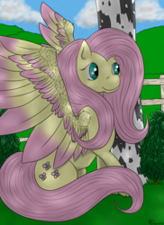 Size: 576x792 | Tagged: safe, artist:angelickingofthieves, fluttershy, g4, female, solo