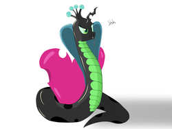Size: 2560x1912 | Tagged: safe, queen chrysalis, cobra, snake, g4, female, solo, species swap