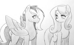 Size: 1024x626 | Tagged: safe, artist:kianamai, oc, oc only, oc:amber lily, oc:princess nidra, pegasus, pony, kilalaverse, disguise, monochrome, next generation, offspring, older, parent:oc:herb, parent:oc:isis quartz, parent:oc:supernova, parent:princess luna, parents:canon x oc, parents:oc x oc, pencil drawing, traditional art