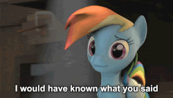 Size: 640x360 | Tagged: safe, artist:ferexes, rainbow dash, pegasus, pony, g4, 3d, animated, female, mare, reaction image, solo, source filmmaker, stupidity