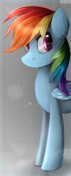 Size: 849x2103 | Tagged: safe, artist:unilx, rainbow dash, g4, female, solo