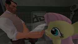 Size: 1024x576 | Tagged: safe, fluttershy, g4, archimedes, crossover, medic, medic (tf2), team fortress 2