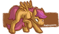 Size: 578x336 | Tagged: safe, artist:feathersandink, scootaloo, g4, ask, female, solo, that scootaloo, tumblr