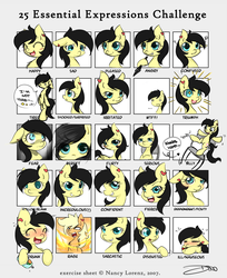 Size: 2364x2901 | Tagged: safe, artist:mrsremi, oc, oc only, 25 expressions, facial expressions, high res