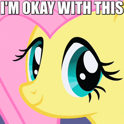 Size: 540x540 | Tagged: safe, screencap, fluttershy, pegasus, pony, g4, green isn't your color, caption, cute, female, happy, i'm okay with this, image macro, looking at you, mare, meme, reaction image, shyabetes, smiling, solo, staring into your soul, text