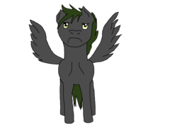 Size: 1300x1000 | Tagged: safe, artist:patec, oc, oc only, oc:xormak, grumpy, simple background, solo, transparent background