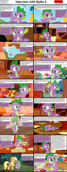 Size: 1282x3304 | Tagged: safe, applejack, spike, dragon, earth pony, pony, comic:celestia's servant interview, g4, caption, comic, cs captions, female, interview, mare