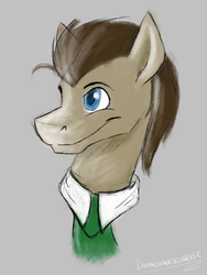 Size: 600x800 | Tagged: safe, artist:dunnowhattowrite, doctor whooves, time turner, g4, doodle, male, necktie, sketch, solo