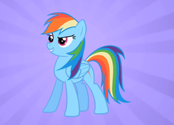 Size: 1000x720 | Tagged: safe, screencap, rainbow dash, g4, may the best pet win, female, solo