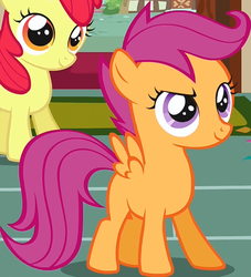 Size: 440x485 | Tagged: safe, screencap, apple bloom, scootaloo, call of the cutie, g4