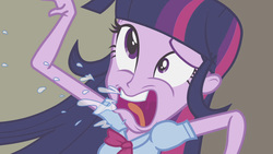 Size: 1539x866 | Tagged: safe, screencap, twilight sparkle, equestria girls, g4, duckery in the description, faic