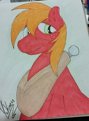 Size: 719x973 | Tagged: safe, artist:yukinzu, big macintosh, earth pony, pony, g4, male, portrait, sketch, solo, stallion, traditional art