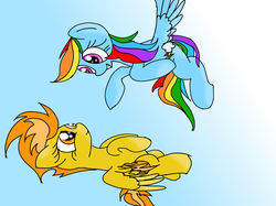 Size: 4100x3071 | Tagged: safe, artist:daisy meadows, rainbow dash, spitfire, g4, flying, sky, wings