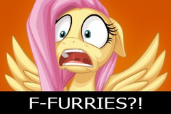 Size: 300x200 | Tagged: safe, artist:mysticalpha, fluttershy, g4, furry, image macro, meme, reaction, reaction image, shocked, spread wings