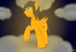 Size: 1024x709 | Tagged: safe, artist:djose-ohara, oc, oc only, oc:shadowblaze, cloud, cloudy, feelgood, friend, night, solo, stars