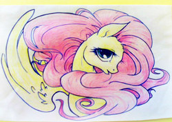 Size: 436x309 | Tagged: safe, artist:pandan009, fluttershy, pegasus, pony, g4, bust, female, looking at you, mare, one wing out, open mouth, portrait, profile, solo, spread wings, traditional art, turned head, wings