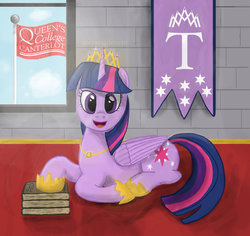 Size: 1024x966 | Tagged: safe, artist:infrasonicman, twilight sparkle, alicorn, pony, g4, banner, book, crown, female, flag, looking at you, mare, solo, twilight sparkle (alicorn)