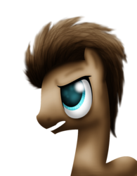 Size: 1000x1280 | Tagged: safe, artist:lupiarts, doctor whooves, time turner, earth pony, pony, g4, male, solo