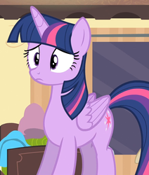 Size: 879x1039 | Tagged: safe, screencap, twilight sparkle, alicorn, pony, g4, rarity takes manehattan, confused, female, folded wings, mare, solo, twilight sparkle (alicorn), wings