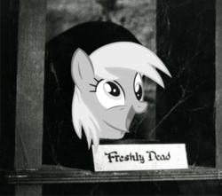 Size: 1196x1057 | Tagged: safe, edit, derpy hooves, pegasus, pony, g4, female, mare, marty feldman, young frankenstein