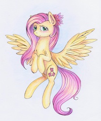 Size: 752x900 | Tagged: safe, artist:wingykora, fluttershy, g4, female, solo, traditional art