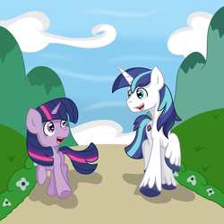 Size: 3000x3000 | Tagged: safe, artist:bigmackintosh, shining armor, twilight sparkle, g4, bbbff, colt, filly, high res