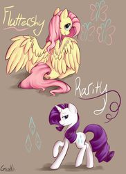 Size: 698x960 | Tagged: safe, artist:glasshobo, fluttershy, rarity, g4, looking back, no more ponies at source, sitting, spread wings