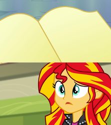 Size: 1223x1378 | Tagged: safe, sunset shimmer, equestria girls, g4, book, exploitable meme, journey book, meme, palindrome get, template