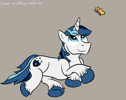 Size: 1024x815 | Tagged: safe, shining armor, butterfly, pony, unicorn, g4, eyes open, gray background, horn, looking up, male, simple background, solo, stallion