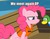 Size: 960x758 | Tagged: safe, screencap, pinkie pie, duck, g4, pinkie apple pie, female, image macro, meme, op, op is a duck (reaction image), reaction image, solo