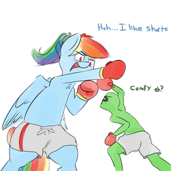 Size: 800x800 | Tagged: safe, artist:askcanadash, rainbow dash, oc, oc:anon, human, pony, g4, alternate hairstyle, bipedal, black eye, boxing, boxing gloves, clothes, giant pony, macro, open mouth, ponytail, random, shorts, size difference
