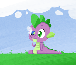 Size: 500x430 | Tagged: safe, artist:nami-tsuki, spike, dragon, parasprite, g4, baby, baby dragon, cloud, cute, fangs, field, grass, green eyes, male, sitting, sky, solo, spikabetes