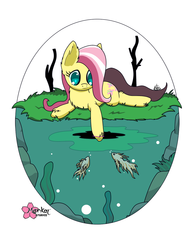 Size: 1000x1294 | Tagged: safe, artist:clouddg, fluttershy, fish, pegasus, pony, g4, female, solo, water