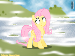 Size: 1024x768 | Tagged: safe, artist:leinad56, fluttershy, g4, female, solo