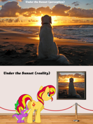 Size: 1512x2011 | Tagged: safe, artist:dashiesparkle, artist:eliyora, vector edit, spike, sunset shimmer, dog, dragon, pony, unicorn, g4, beach, butt, cloud, cloudy, comparison, eyes on the prize, female, flank, from behind, looking at butt, love, male, mare, ocean, painting, plot, sand, ship:sunsetspike, shipping, sky, straight, sun, sunset, wall