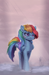 Size: 1350x2082 | Tagged: safe, artist:wilhelmgottfried, rainbow dash, g4, band-aid, female, injured, rain, sad, solo