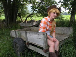 Size: 3648x2736 | Tagged: safe, artist:madameterralupus, applejack, human, g4, boots, cosplay, hat, high res, irl, irl human, photo, solo, wagon