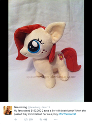 Size: 647x864 | Tagged: safe, artist:planetplush, oc, oc only, earth pony, pony, charity, feels, female, filly, in memoriam, in memory of kiki havivy, irl, kiki havivy, photo, plushie, ponysona, sad, tara strong, twitter