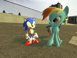 Size: 1280x960 | Tagged: safe, artist:sp19047, rainbow dash, g4, 3d, classic sonic, crossover, gmod, male, sonic the hedgehog, sonic the hedgehog (series)