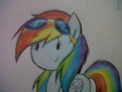 Size: 1600x1200 | Tagged: safe, artist:darkynez, rainbow dash, g4, female, goggles, solo, traditional art