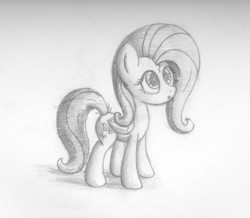 Size: 2154x1874 | Tagged: safe, artist:bugplayer, fluttershy, pegasus, pony, g4, female, grayscale, mare, monochrome, pencil drawing, puzzled, solo, traditional art