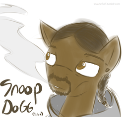 Size: 1000x948 | Tagged: safe, artist:wuzzlefluff, pony, drugs, ponified, smoke, snoop dogg, snoop lion, solo