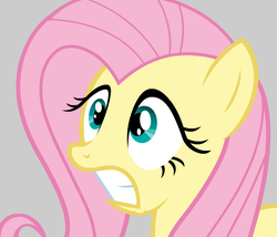 Size: 704x604 | Tagged: safe, artist:themightyshizam, fluttershy, g4, female, scared, solo, vector