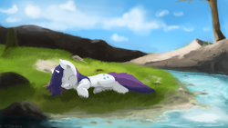 Size: 4000x2250 | Tagged: safe, artist:fuzzyfox11, rarity, g4, eyes closed, grass, happy, nature, scenery, sleeping