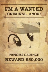 Size: 467x700 | Tagged: safe, edit, princess cadance, g4, 4chan, i'm blank anon, wanted poster