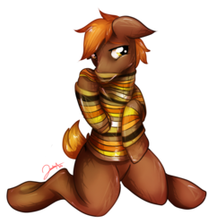 Size: 1024x1060 | Tagged: safe, artist:jesuka, oc, oc only, oc:umber, earth pony, pony, clothes, male, simple background, solo, stallion, sweater, transparent background, underhoof