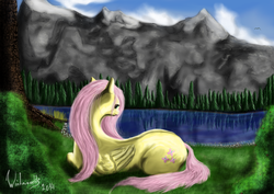 Size: 1793x1268 | Tagged: safe, artist:winternachts, fluttershy, g4, calm, digital art, female, painting, solo, valley