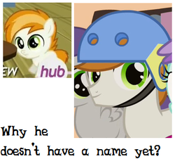 Size: 345x326 | Tagged: safe, 5-year-old, background pony, naming, solo, text, younger