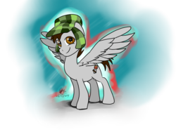 Size: 1600x1200 | Tagged: safe, artist:vicockart, pegasus, pony, chavo, el chavo del 8, looking at you, mexico, ponified, solo